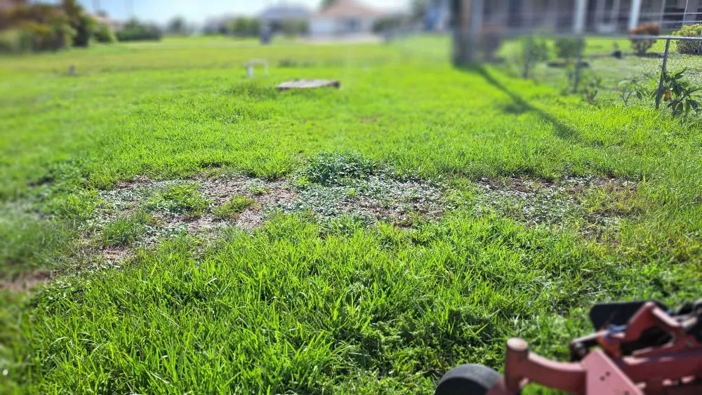 Local lawn care service in Fort Myers, FL by Bess Forget the Rest Lawn and Landscaping