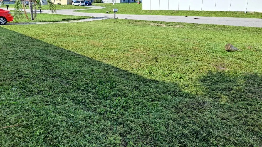 Professional landscaping services in Fort Myers, FL by Bess Forget the Rest Lawn and Landscaping