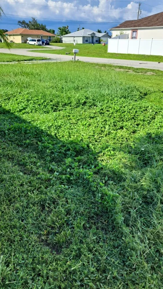 Expert landscape installation in Fort Myers, FL - Bess Forget the Rest Lawn and Landscaping