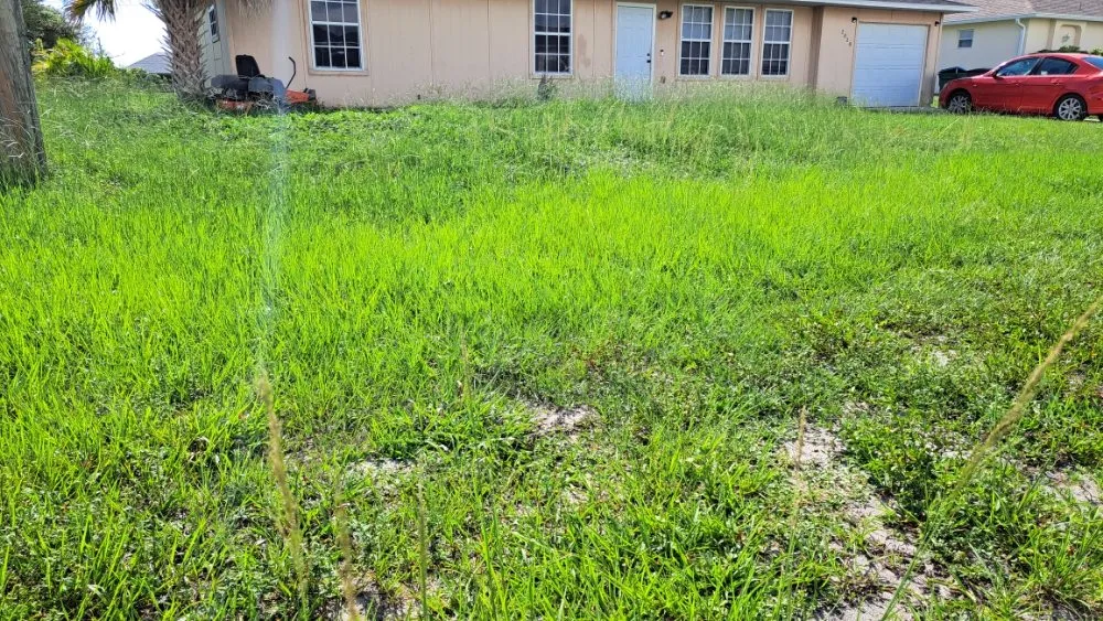 Local lawn care service in Fort Myers, FL by Bess Forget the Rest Lawn and Landscaping
