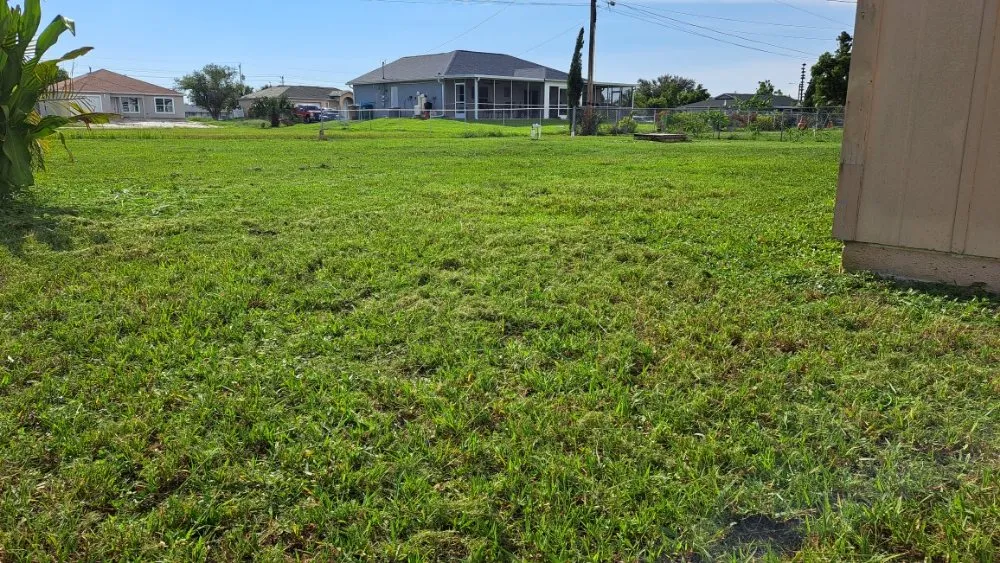 Top-rated residential landscaping for beautiful yards across Fort Myers, FL - Bess Forget the Rest Lawn and Landscaping