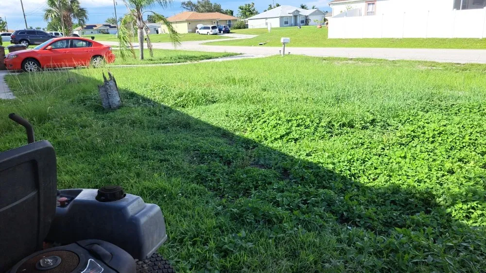 Custom garden landscaping experts serving Fort Myers, FL - Bess Forget the Rest Lawn and Landscaping