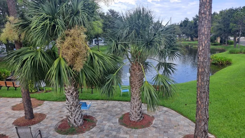 Affordable landscaping services experts serving Fort Myers, FL - Bess Forget the Rest Lawn and Landscaping