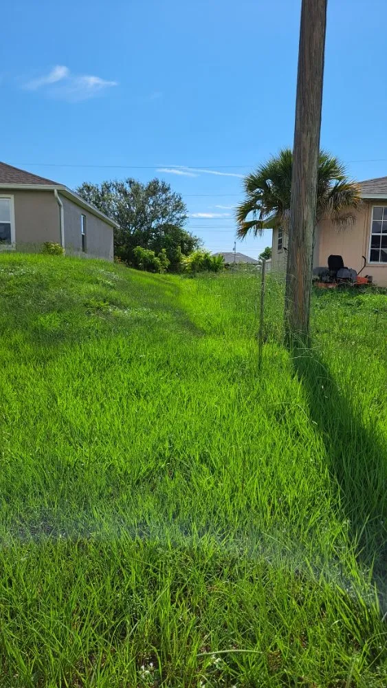 Professional yard cleanup service experts serving Fort Myers, FL - Bess Forget the Rest Lawn and Landscaping