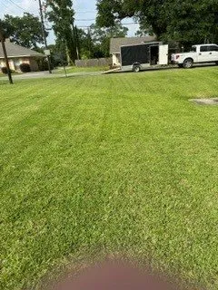 Local landscape installation for beautiful yards across Duson, LA - Besse Lawn Service