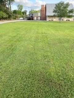 Top-rated yard cleanup service in Duson, LA - Besse Lawn Service