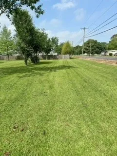 Expert garden landscaping for year-round maintenance in Duson, LA by Besse Lawn Service