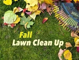 Local outdoor landscaping for year-round maintenance in Little Rock, AR by Best Affordable Lawncare Near Me