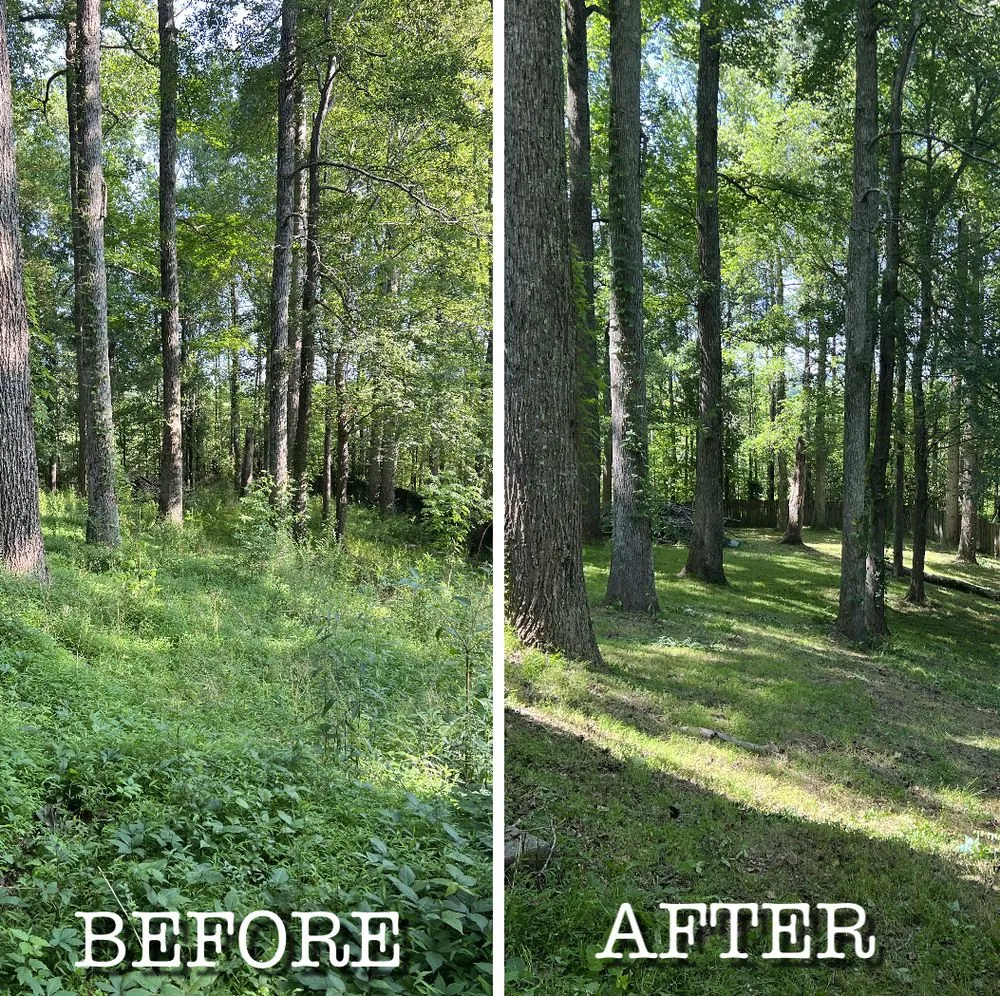 Trusted landscaping services with custom design across Newnan, GA - Best Bet Lawn Care