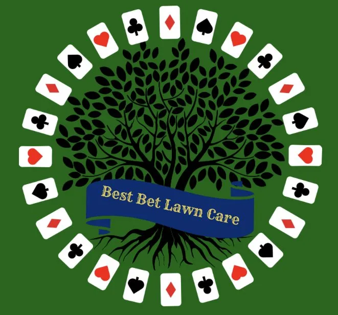 Local lawn care service experts serving Newnan, GA - Best Bet Lawn Care