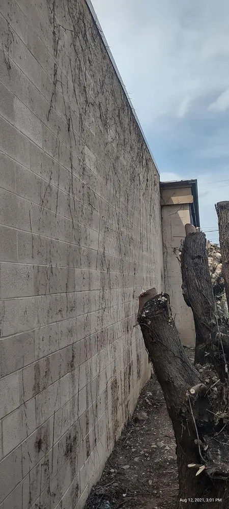 Top-rated landscape installation near you in Columbus, OH by Best Bros Lawncare