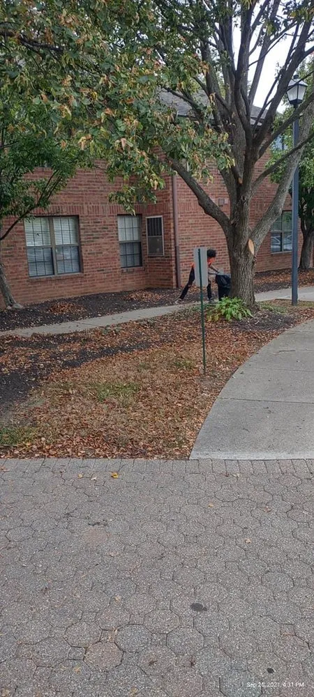 Affordable yard cleanup service in Columbus, OH - Best Bros Lawncare