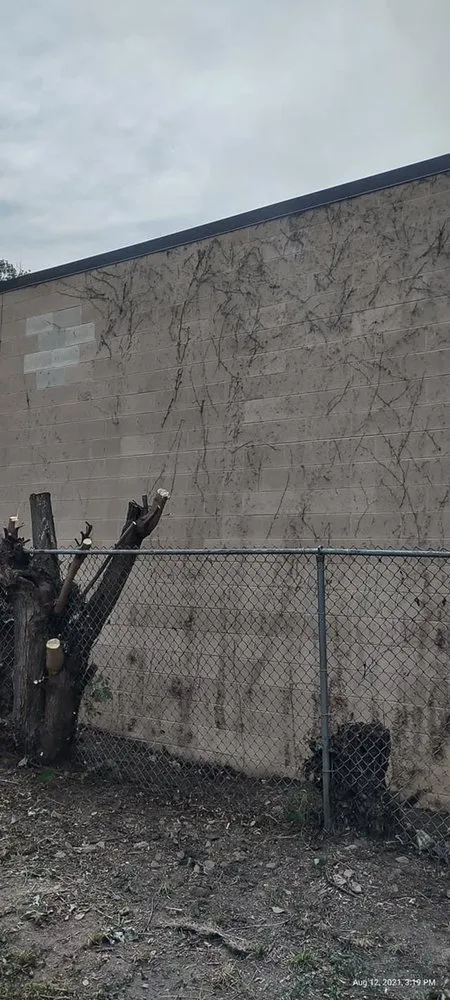 Top-rated landscaping services experts serving Columbus, OH - Best Bros Lawncare