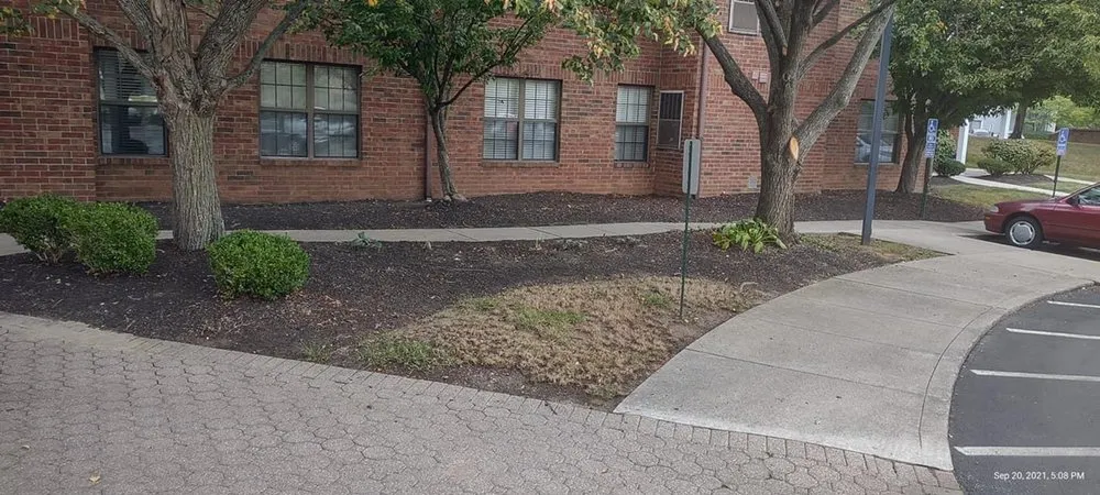 Professional garden landscaping with custom design across Columbus, OH - Best Bros Lawncare