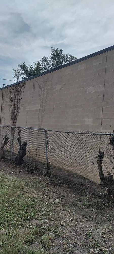 Reliable yard maintenance in Columbus, OH - Best Bros Lawncare