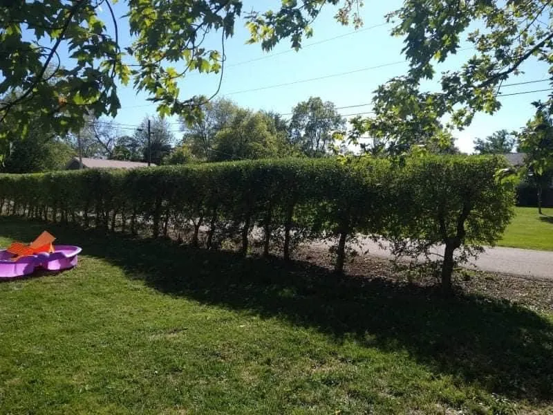 Professional lawn care service in Columbus, OH by Best Bros Lawncare