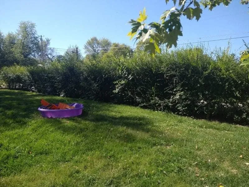 Local landscape design for outdoor upgrades across Columbus, OH - Best Bros Lawncare