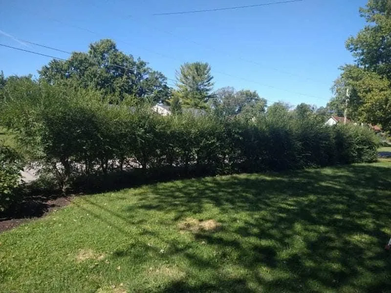 Professional residential landscaping for outdoor upgrades across Columbus, OH - Best Bros Lawncare