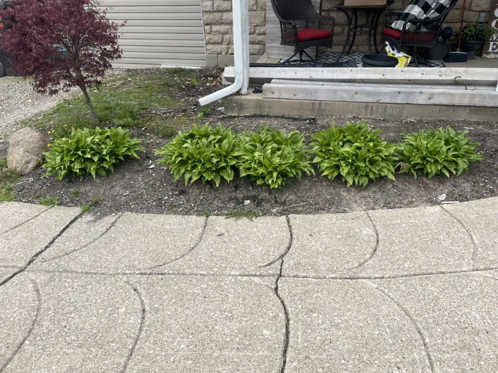 Affordable residential landscaping in Columbus, OH - Best Bros Lawncare