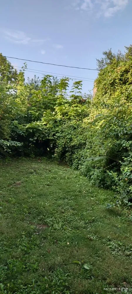 Local landscape design experts serving Columbus, OH - Best Bros Lawncare