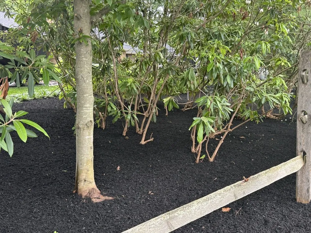 Trusted landscape installation in New Hope, PA - Best Buddies Landscaping