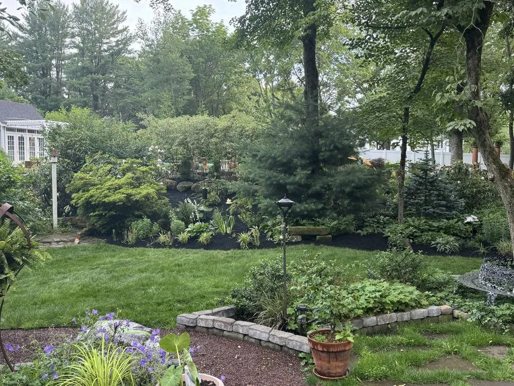Expert landscape design in New Hope, PA - Best Buddies Landscaping