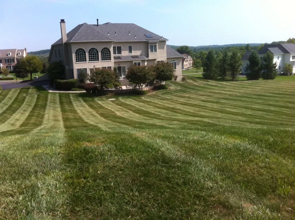 Reliable lawn care service experts serving New Hope, PA - Best Buddies Landscaping