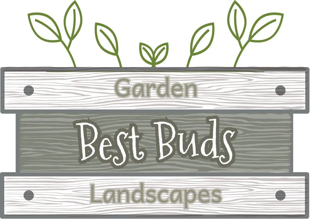 Local yard cleanup service for outdoor upgrades across Belgrade, MT - Best Buds