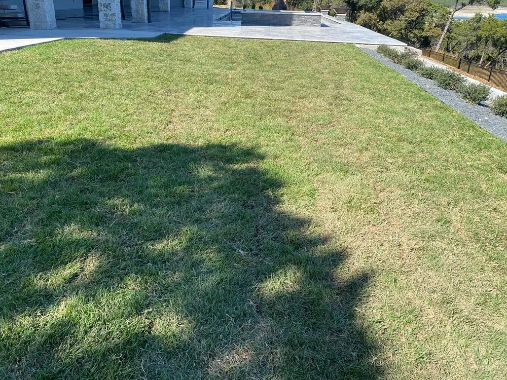 Top-rated residential landscaping in Round Rock, TX - Best Buds Landscaping