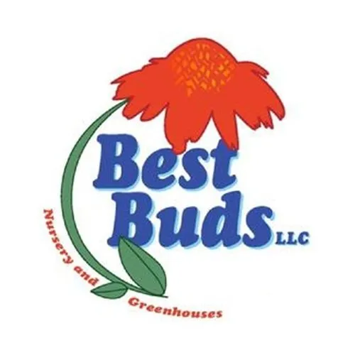 Top-rated lawn mowing service experts serving Madison, WI - Best Buds