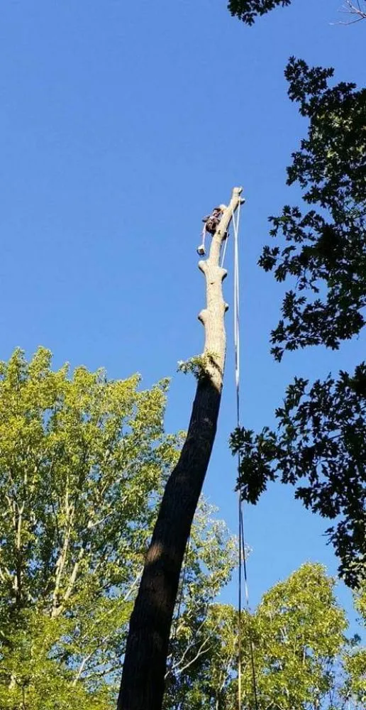 Reliable residential landscaping experts serving Annapolis, MD - Best Business Service