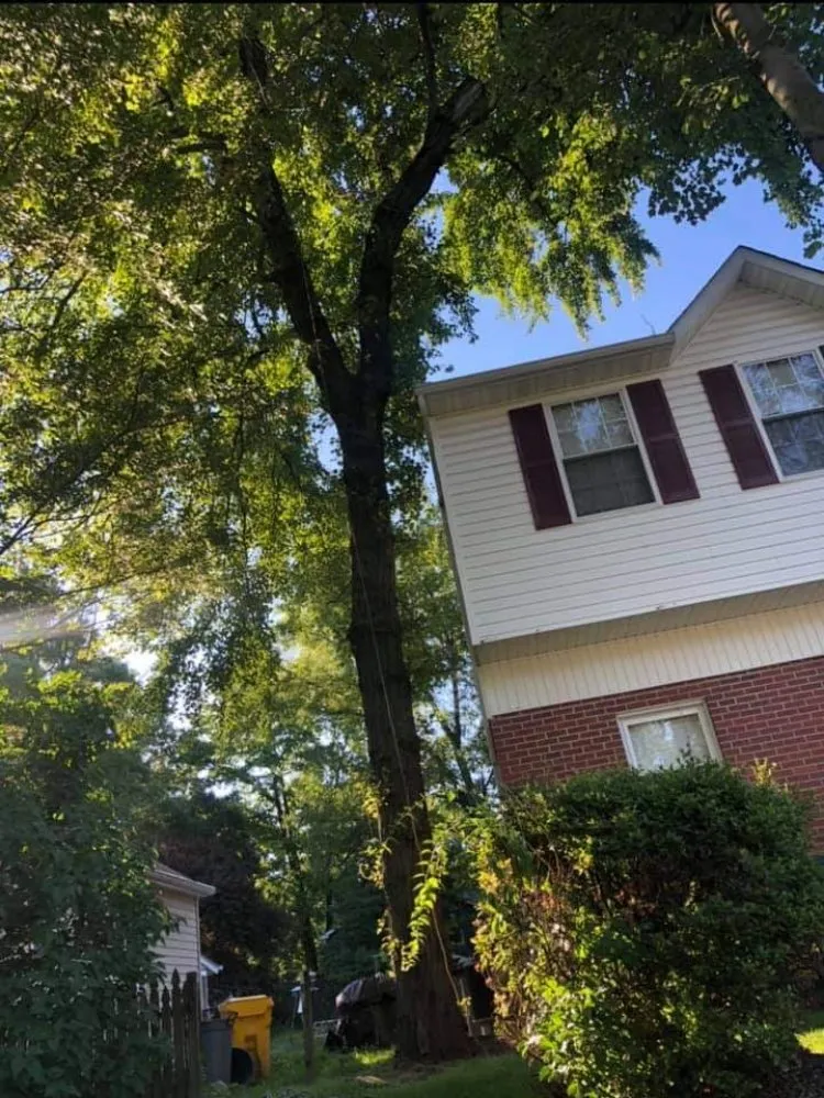 Custom residential landscaping for beautiful yards across Annapolis, MD - Best Business Service