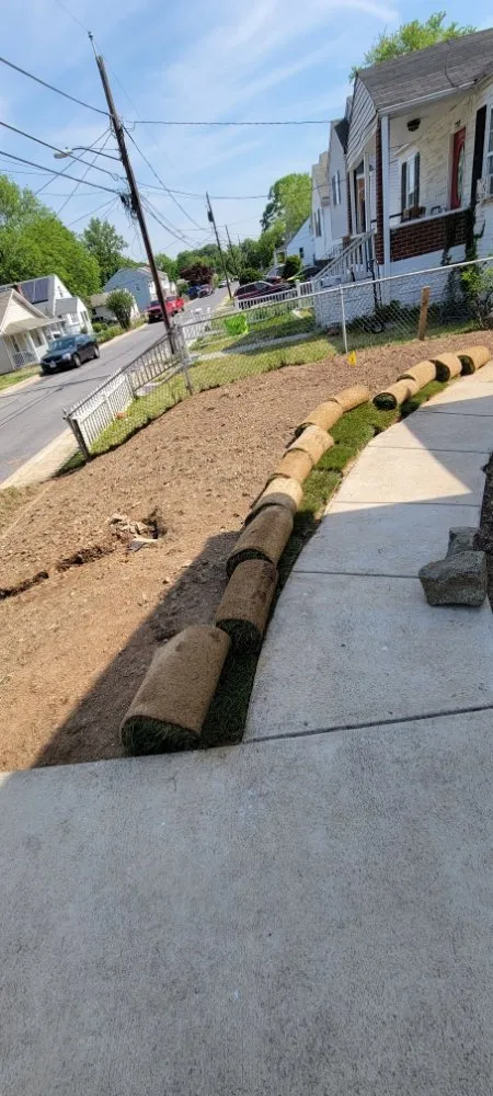 Expert garden landscaping in Annapolis, MD by Best Business Service