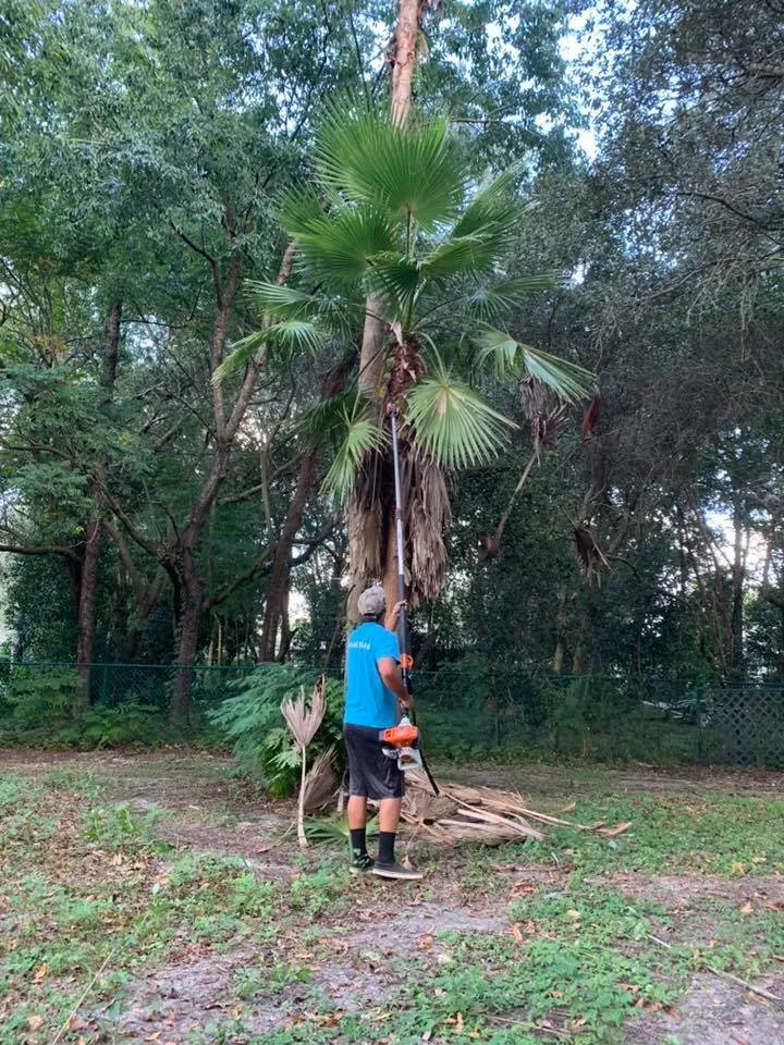 Trusted yard cleanup service in Ocala, FL - Best Care Services