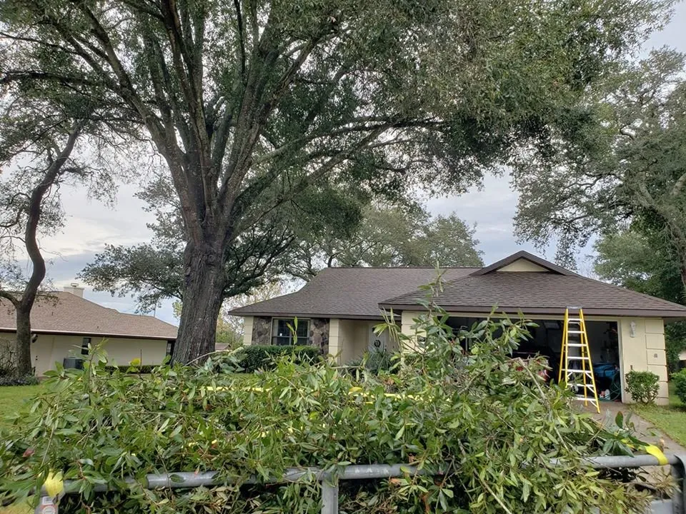 Top-rated yard cleanup service in Ocala, FL by Best Care Services