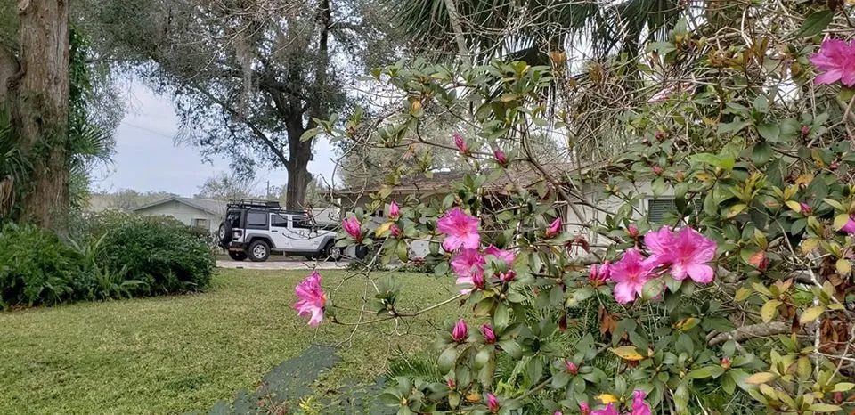 Top-rated landscape design for outdoor upgrades in Ocala, FL by Best Care Services