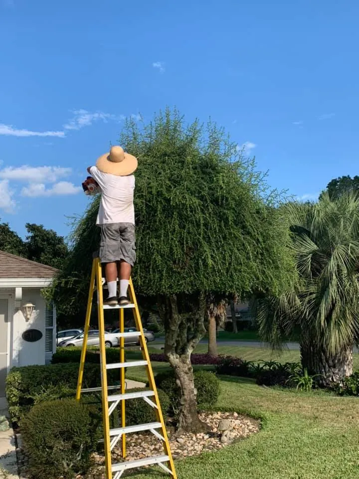 Custom outdoor landscaping in Ocala, FL by Best Care Services