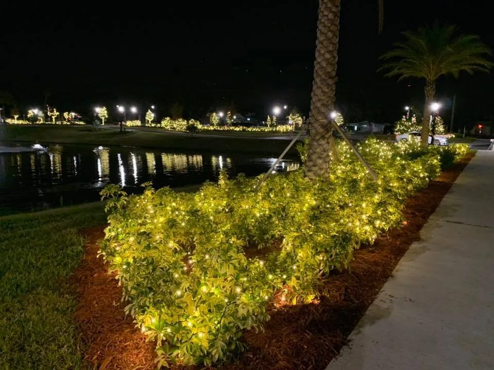 Custom yard cleanup service for year-round maintenance across Ocala, FL - Best Care Services