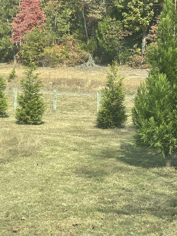 Professional lawn mowing service for residential properties in Cleveland, TN by Best Chance Lawn Care