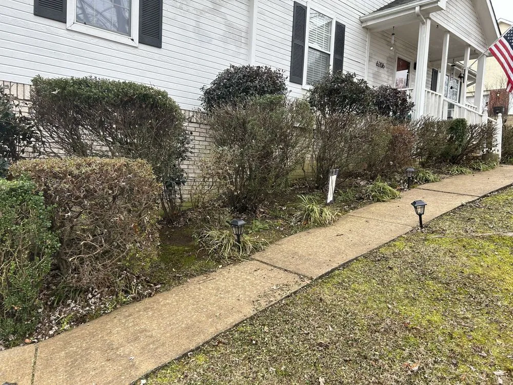 Reliable outdoor landscaping for outdoor upgrades across Cleveland, TN - Best Chance Lawn Care