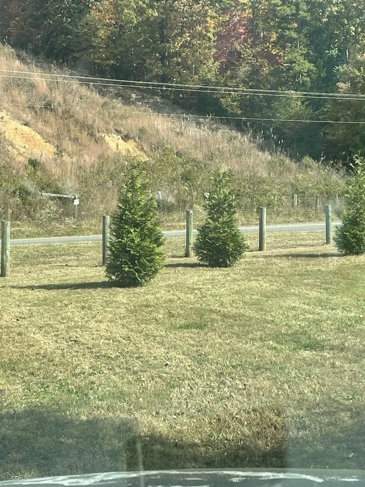 Affordable yard maintenance experts serving Cleveland, TN - Best Chance Lawn Care