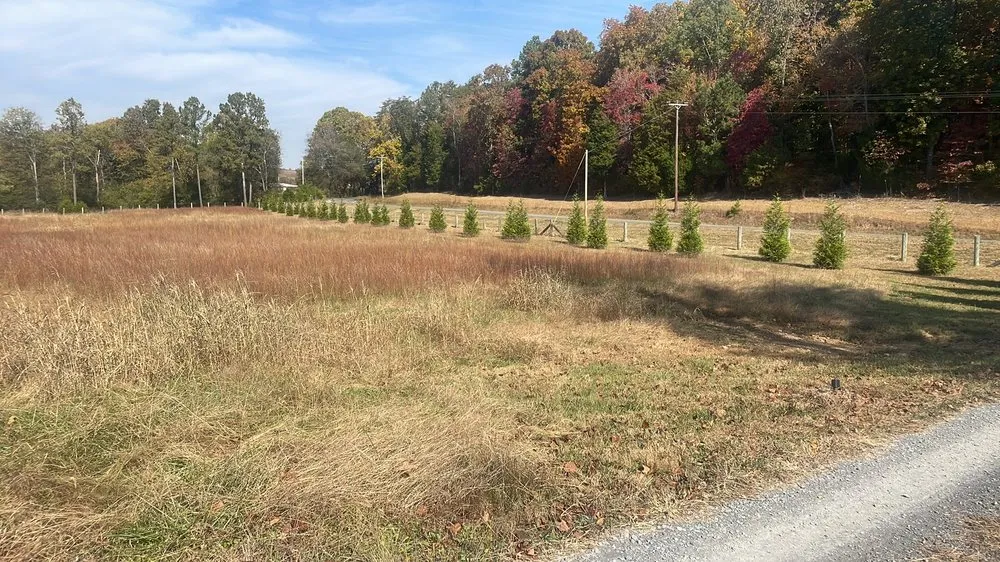 Reliable residential landscaping for homes across Cleveland, TN - Best Chance Lawn Care