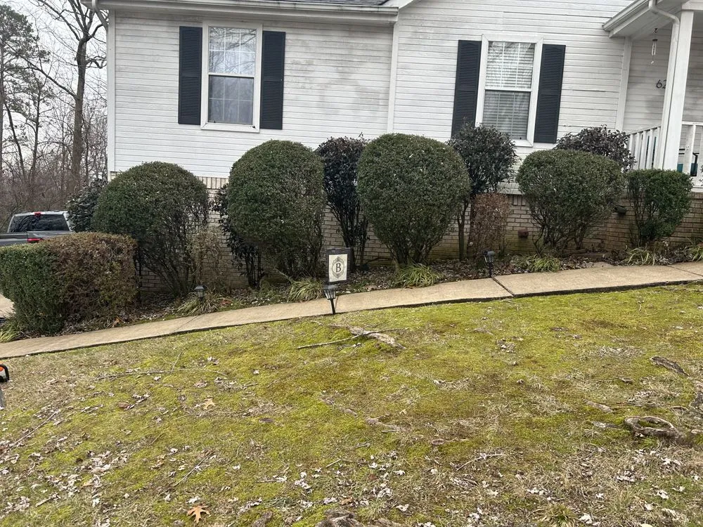 Trusted landscape installation in Cleveland, TN by Best Chance Lawn Care