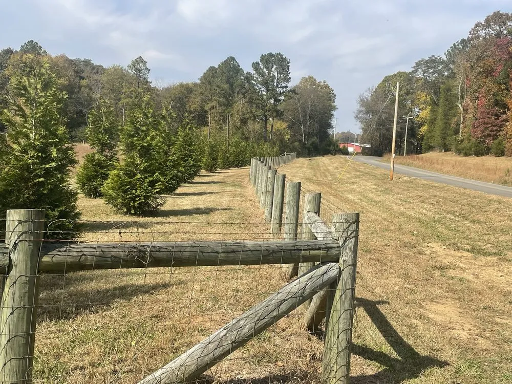 Top-rated landscape installation for year-round maintenance across Cleveland, TN - Best Chance Lawn Care