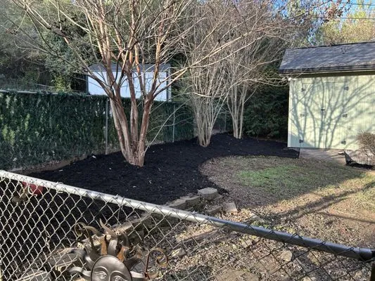 Best Chance Lawn Care Logo