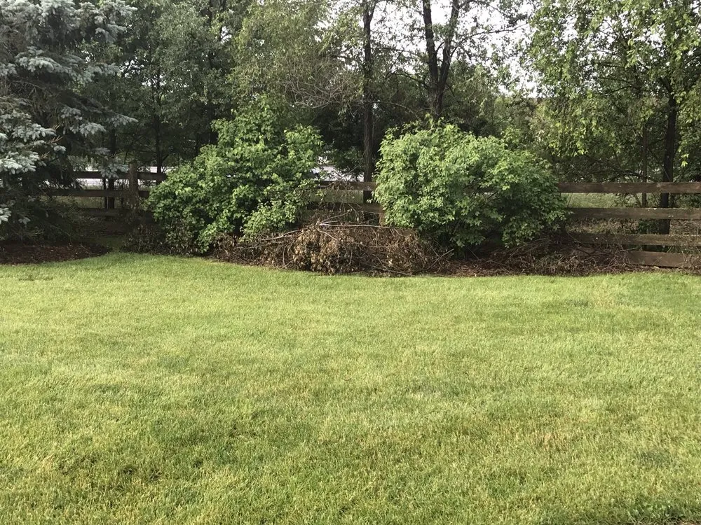 Local yard maintenance in Wauwatosa, WI - Best Choice Landscape