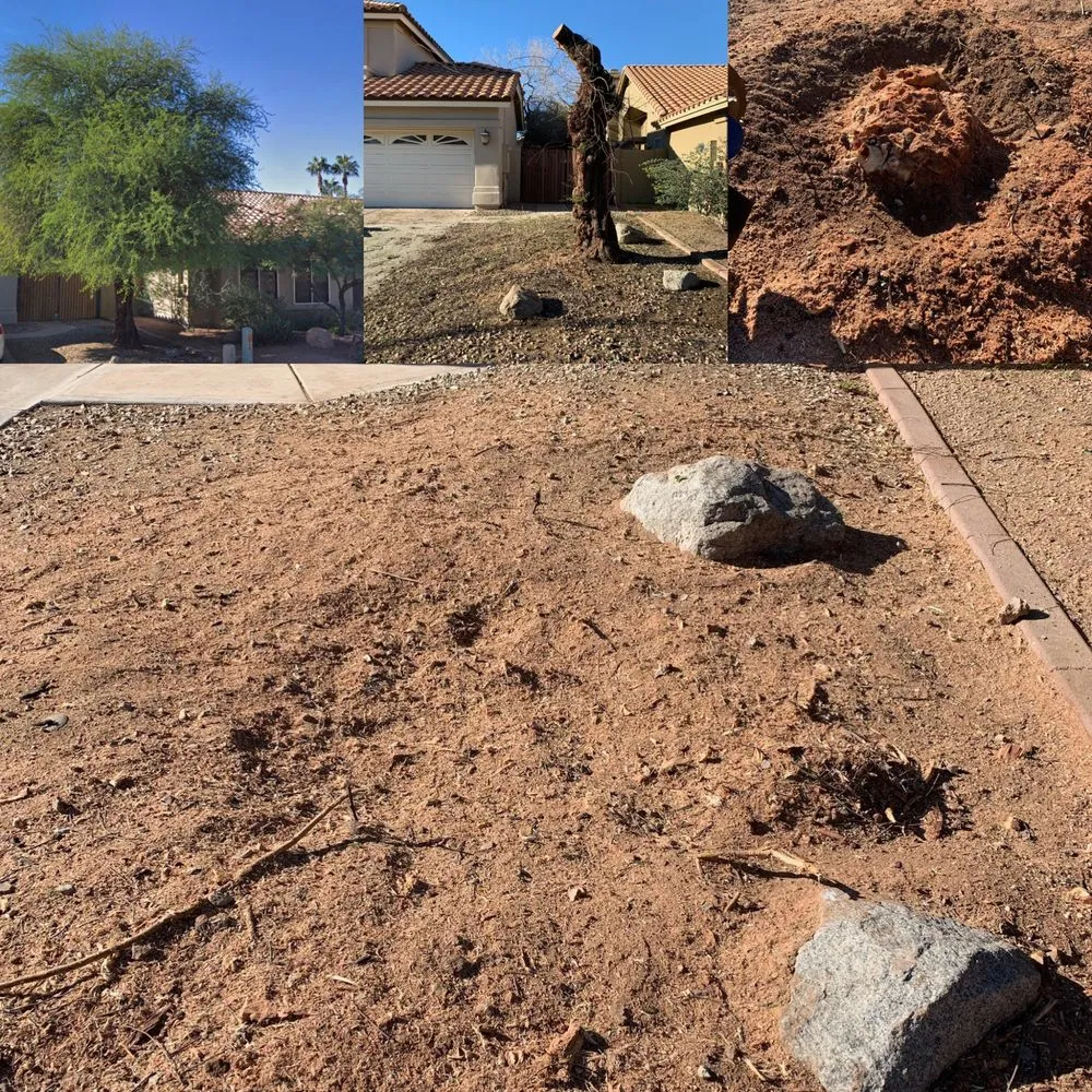 Top-rated yard cleanup service experts serving Phoenix, AZ - Best Choice Landscaping