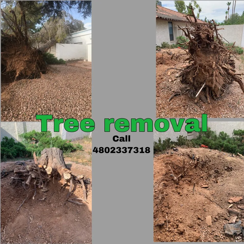 Expert outdoor landscaping in Phoenix, AZ by Best Choice Landscaping