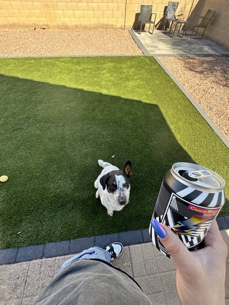 Trusted residential landscaping experts serving Phoenix, AZ - Best Choice Landscaping