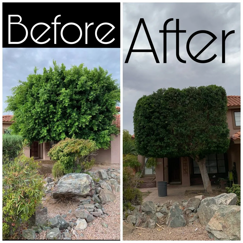 Local garden landscaping for residential properties across Phoenix, AZ - Best Choice Landscaping